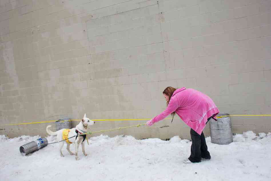 K-9 Keg Pull, Sandpoint, Idaho