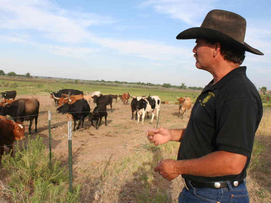 Dan Henrichs, a cattle rancher on the High Line Canal in Avondale, Colo., is also the local ditch superintendent.