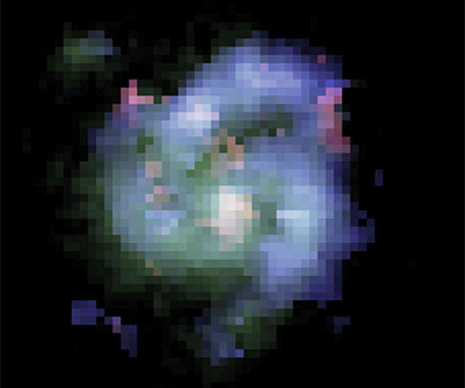 Hubble Space Telescope/Keck false color composite image of galaxy BX442. Hubble Space Telescope/Keck false color composite image of galaxy BX442.