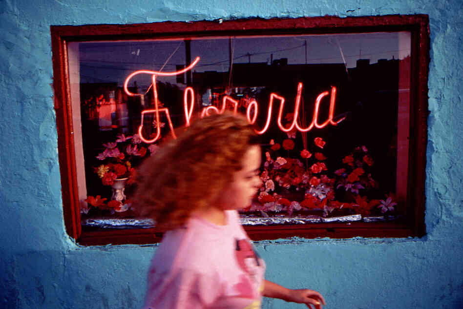 Hearts and Flowers, 1992. Deep in the heart of Juarez. Summer. It's hot and its alive in Juarez. In those days. Now, a city that has just lived through a war. What remains is yet to be determined.