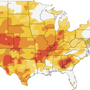 More than half the country is experiencing drought conditions, according to the U.S. Drought Monitor.