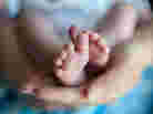 Parents hands, baby feet