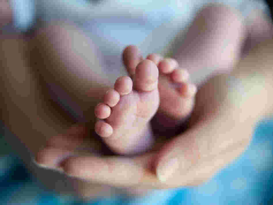 Parents hands, baby feet