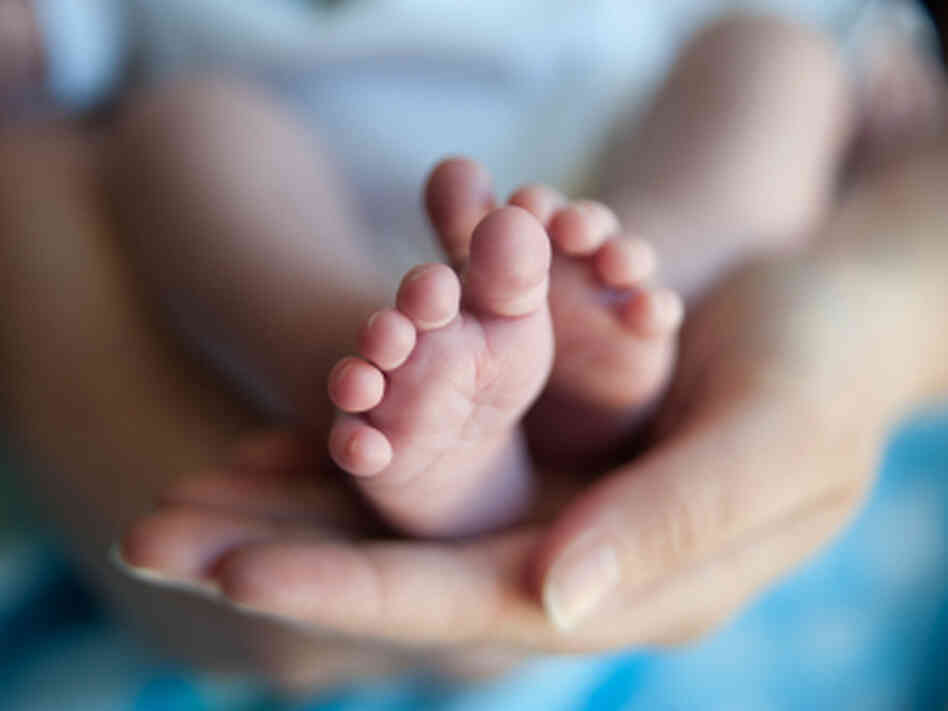 Parents hands, baby feet