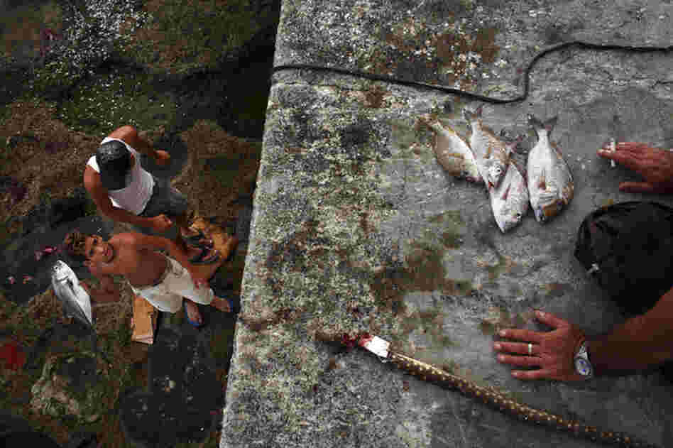 A teenage boy prepares to throw a freshly caught fish along the Malecon in Havana, Cuba, October 2008.