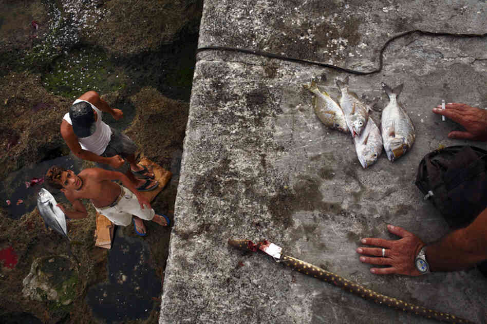 A teenage boy prepares to throw a freshly caught fish along the Malecon in Havana, Cuba, October 2008.