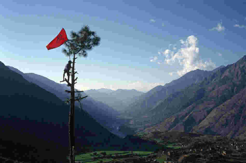 Nabin Pun, a Maoist rebel soldier of the People's Liberation Army, raises the communist flag from a tree above the village of Rukumkot, Nepal, February 2005.