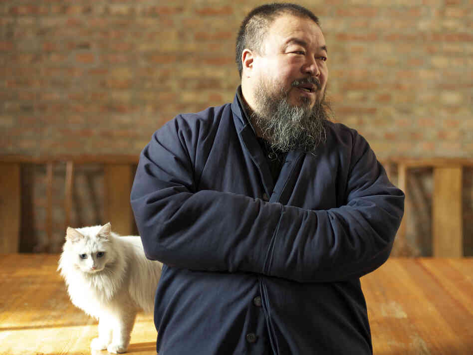Ai lives in Beijing with his wife and around 40 cats and dogs. One of the cats has figured out how to open the door and escape.