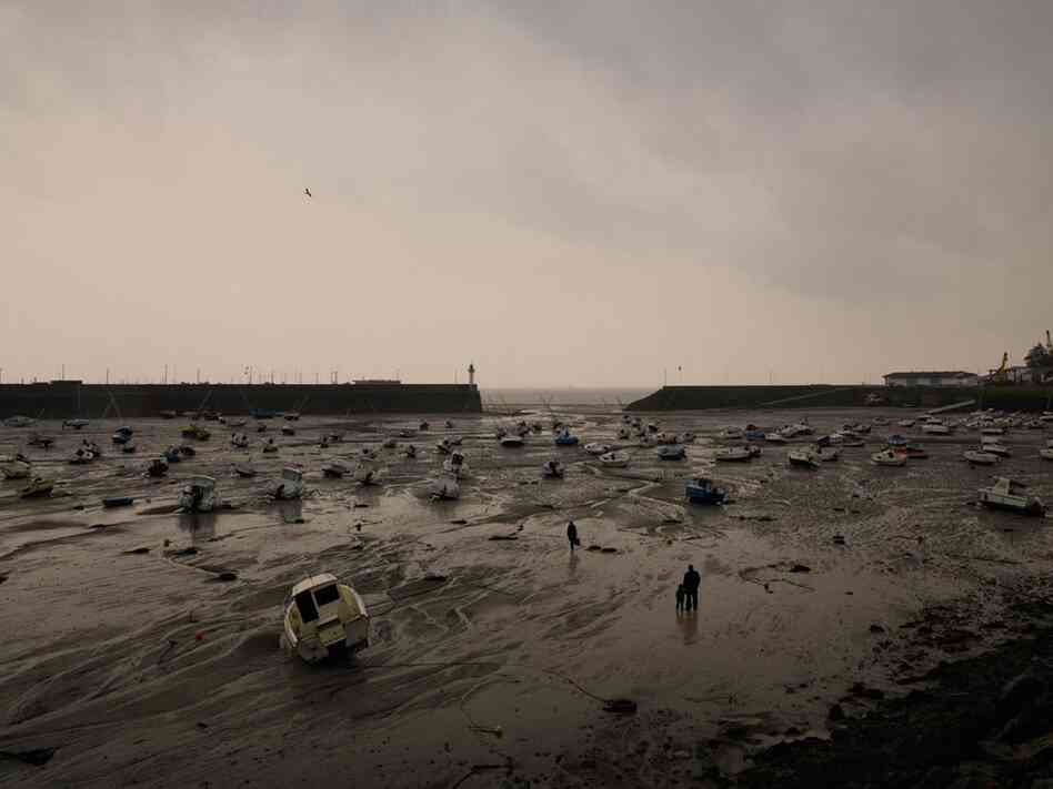 Baie de Saint-Brieuc, France, 2011
