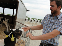 Herd manager Chris Heins greets a calf at his dairy farm near Higginsville, Mo. It will be about two years before a calf like this one is ready to be milked, so keeping them comfortable and healthy is a top concern. Herd manager Chris Heins greets a calf at his dairy farm near Higginsville, Mo. It will be about two years before a calf like this one is ready to be milked, so keeping them comfortable and healthy is a top concern.