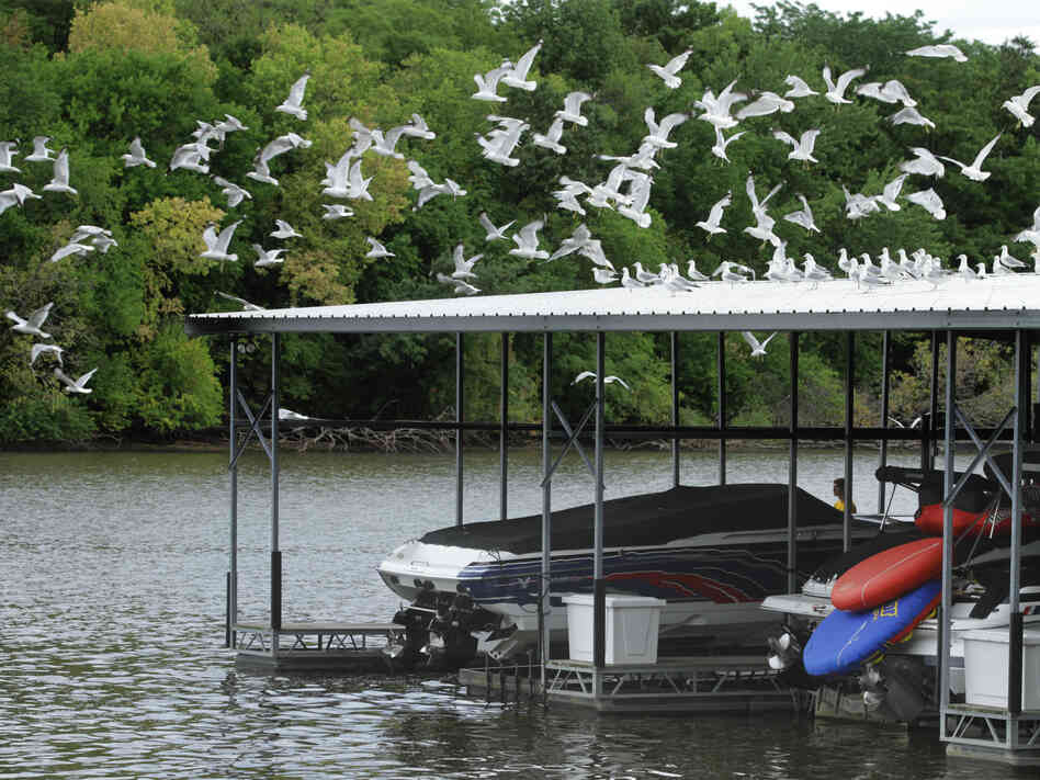 Illinois' Lake Springfield is two feet below full, which normally doesn't happen until fall. So the city of Springfield is joining many others in either restricting water use or considering it.