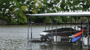 Illinois' Lake Springfield is two feet below full, which normally doesn't happen until fall. So the city of Springfield is joining many others in either restricting water use or considering it.