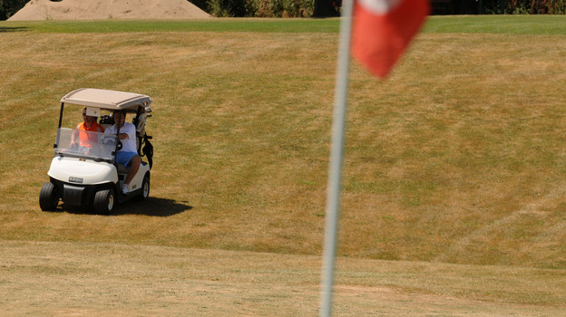 Don't call 'em greens: Some golf courses, such as this one in Syracuse, N.Y., are letting their signature green grass go to brown in an effort to save water.