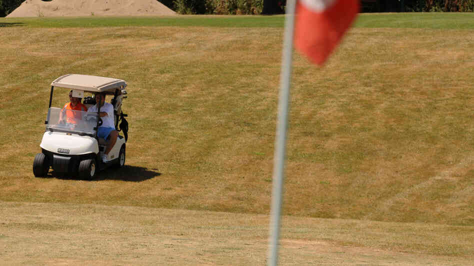 Don't call 'em greens: Some golf courses, such as this one in Syracuse, N.Y., are letting their signature green grass go to brown in an effort to save water.