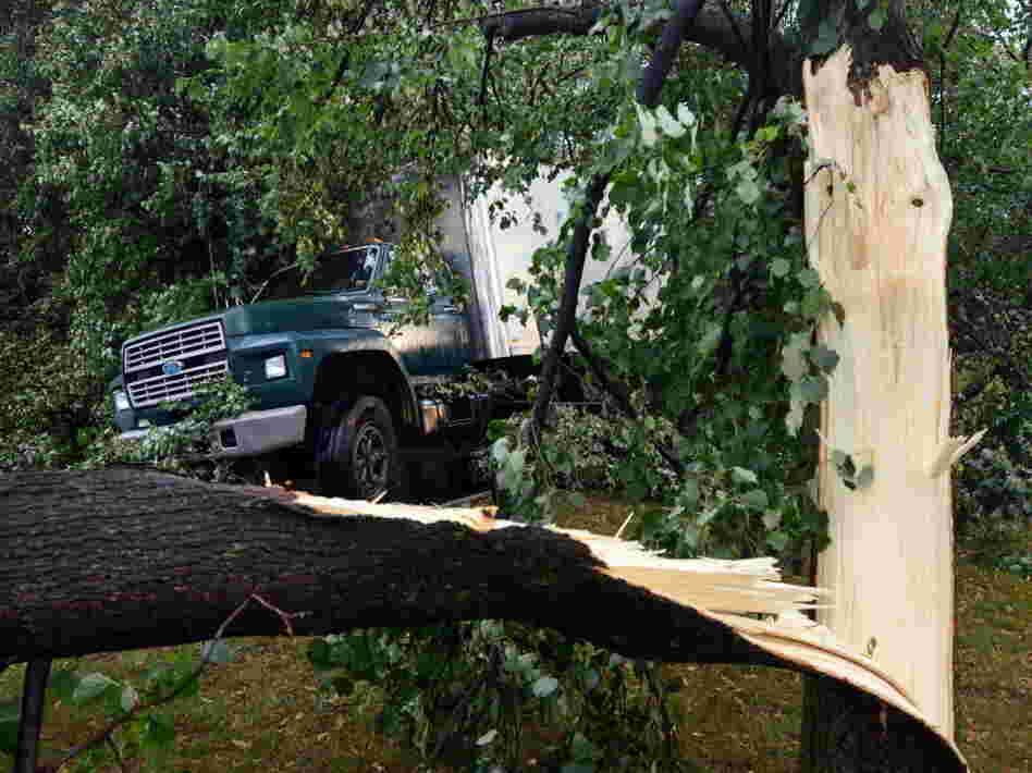 Broken trees lying across a truck in Elmira, N.Y., after Thursday's storm.