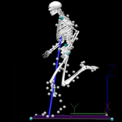 "The unaffected leg produces peak vertical forces that are on average 9 percent greater than those produced by the affected leg using a running-specific prosthesis," concluded scientists who studied a Paralympic sprinter. The sprinter ran on one prosthetic like that of Oscar Pistorius; his other leg was unaffected.