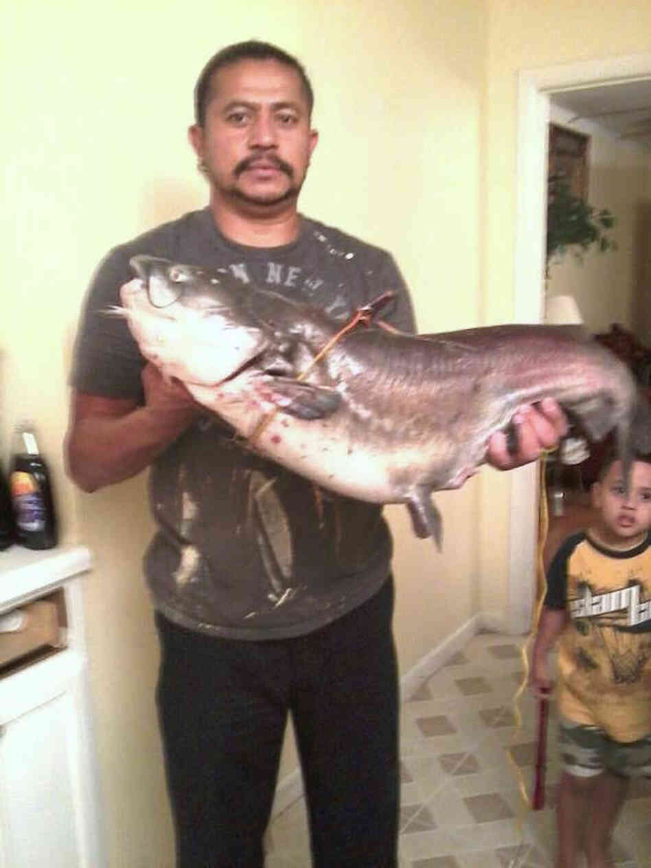 Jose Sosa's holding the big fish he caught in the Freedom Park pond. He gave the fish away, but took a picture to prove he did indeed catch a 21 lb. catfish. Jose Sosa's holding the big fish he caught in the Freedom Park pond. He gave the fish away, but took a picture to prove he did indeed catch a 21 lb. catfish.