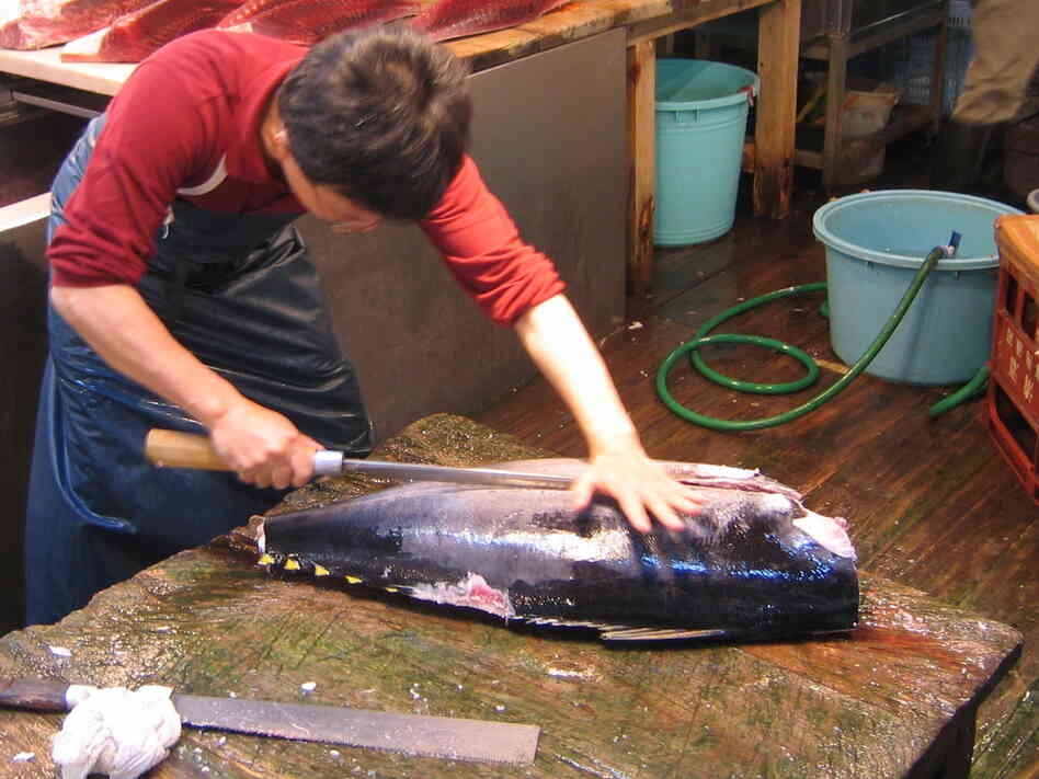 Sushi's popularity has led to a serious decline in tuna populations around the world. The film argues for sustainable sushi bars that offer tuna alternatives in their rolls.