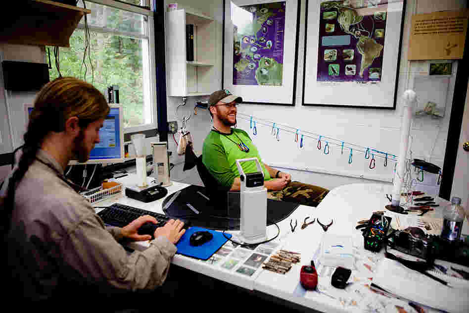 DeGroote and Blaine Cernes, a banding assistant, enter the data they've collected into a database that will help monitor how well the avian populations are doing in the wild.