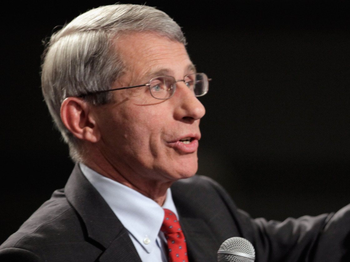 National Institute of Allergy and Infectious Diseases Director Dr. Anthony Fauci said a voluntary halt to bird flu research should stay in effect.