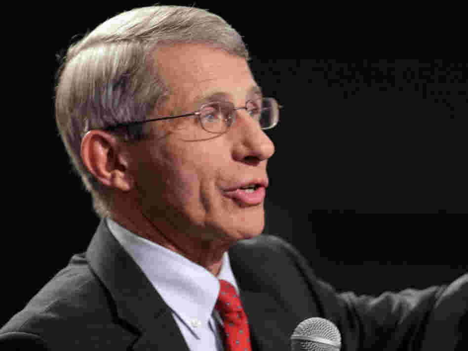 National Institute of Allergy and Infectious Diseases Director Dr. Anthony Fauci said a voluntary halt to bird flu research should stay in effect.