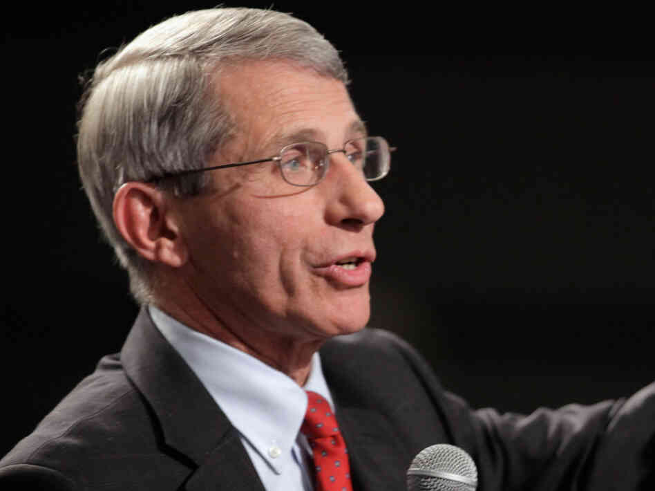 National Institute of Allergy and Infectious Diseases Director Dr. Anthony Fauci said a voluntary halt to bird flu research should stay in effect.