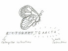 Butterfly. Butterfly.