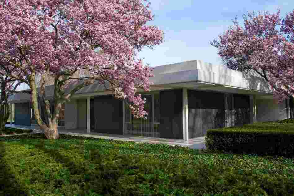 The house Will Miller grew up in was designed by Eero Saarinen on a grid in which each corner is used for a space that requires privacy, including the master, family and guest bedrooms.