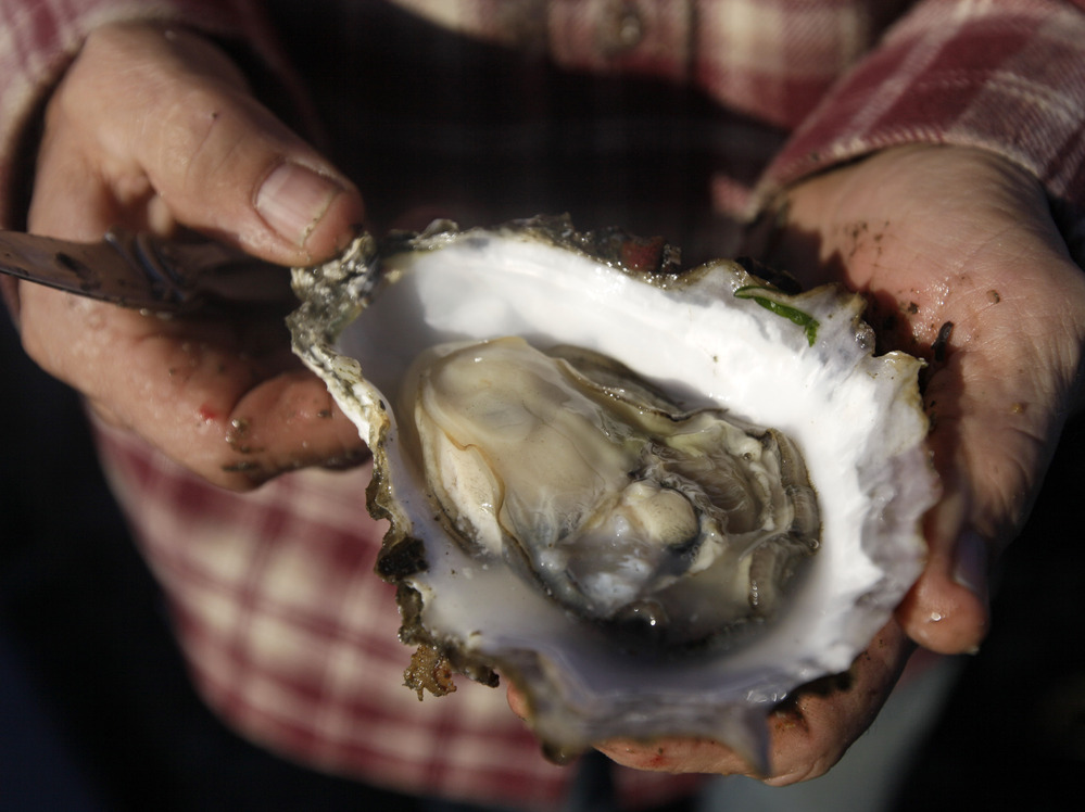 Scientists blame higher levels of carbon dioxide in Pacific Ocean waters caused by global warming for the failure of oyster seeds to thrive in hatcheries.