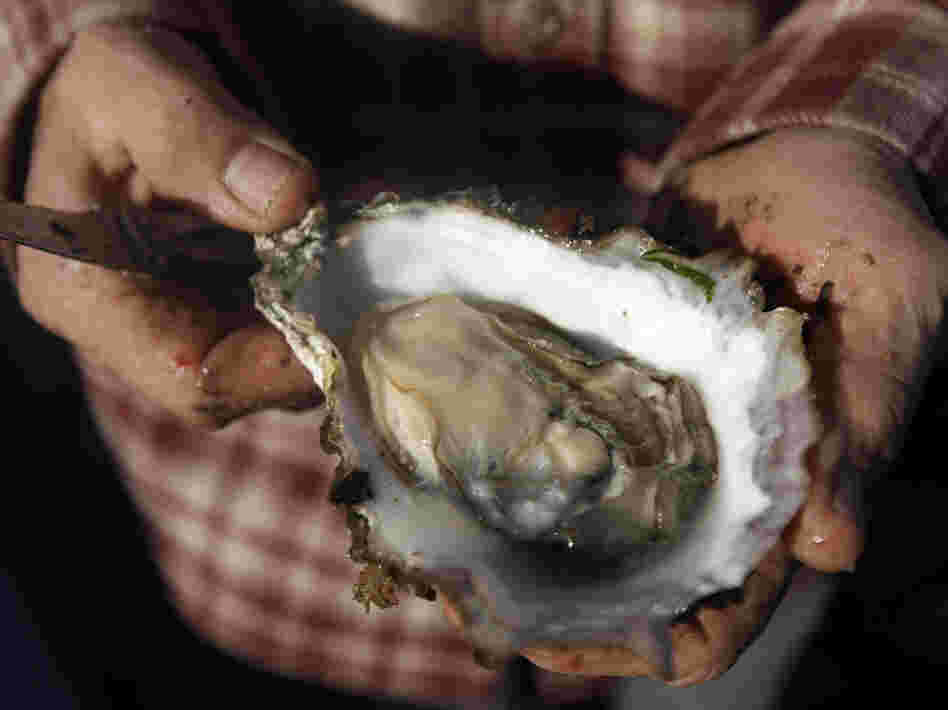 Scientists blame higher levels of carbon dioxide in Pacific Ocean waters caused by global warming for the failure of oyster seeds to thrive in hatcheries.