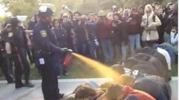 Nov. 18, 2011: Occupy protesters get sprayed at University of California Davis. (YouTube)