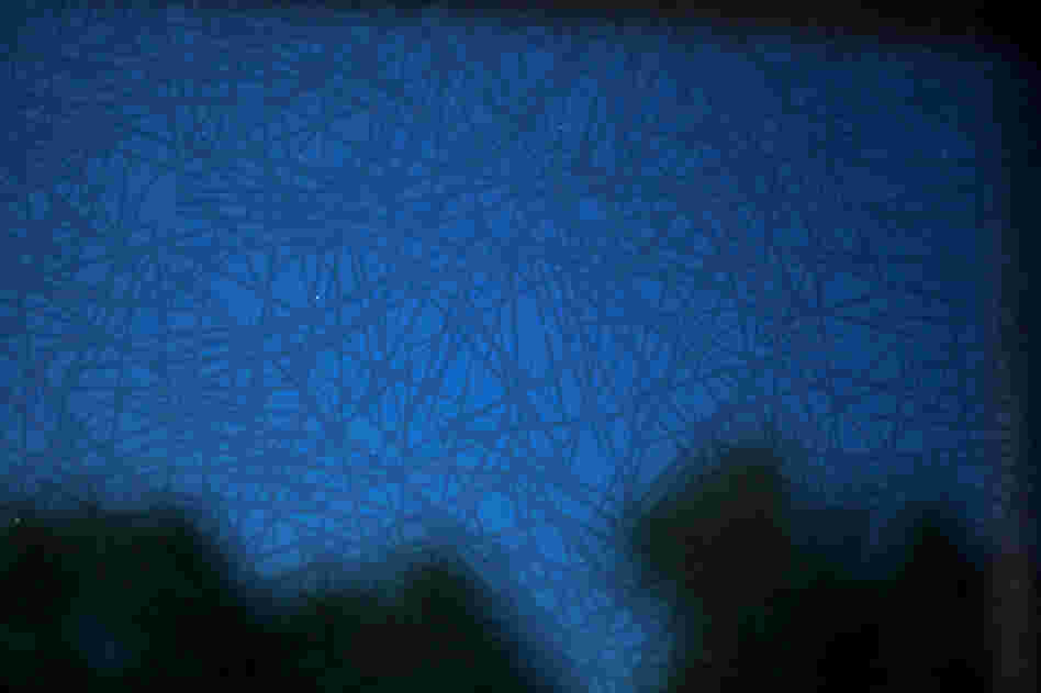 A design prototype on Vassar's campus shows a type of bird-safe glass that displays a distinct pattern from outside, but from inside shows an unobstructed view.