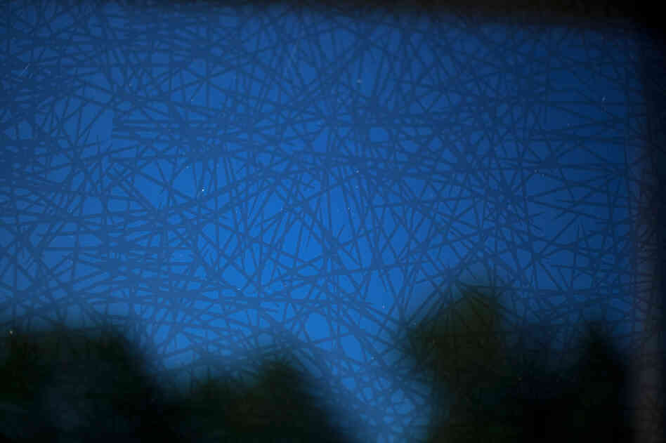 A design prototype on Vassar's campus shows a type of bird-safe glass that displays a distinct pattern from outside, but from inside shows an unobstructed view.