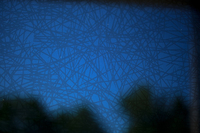 A design prototype on Vassar's campus shows a type of bird-safe glass that displays a distinct pattern from outside, but from inside shows an unobstructed view.
