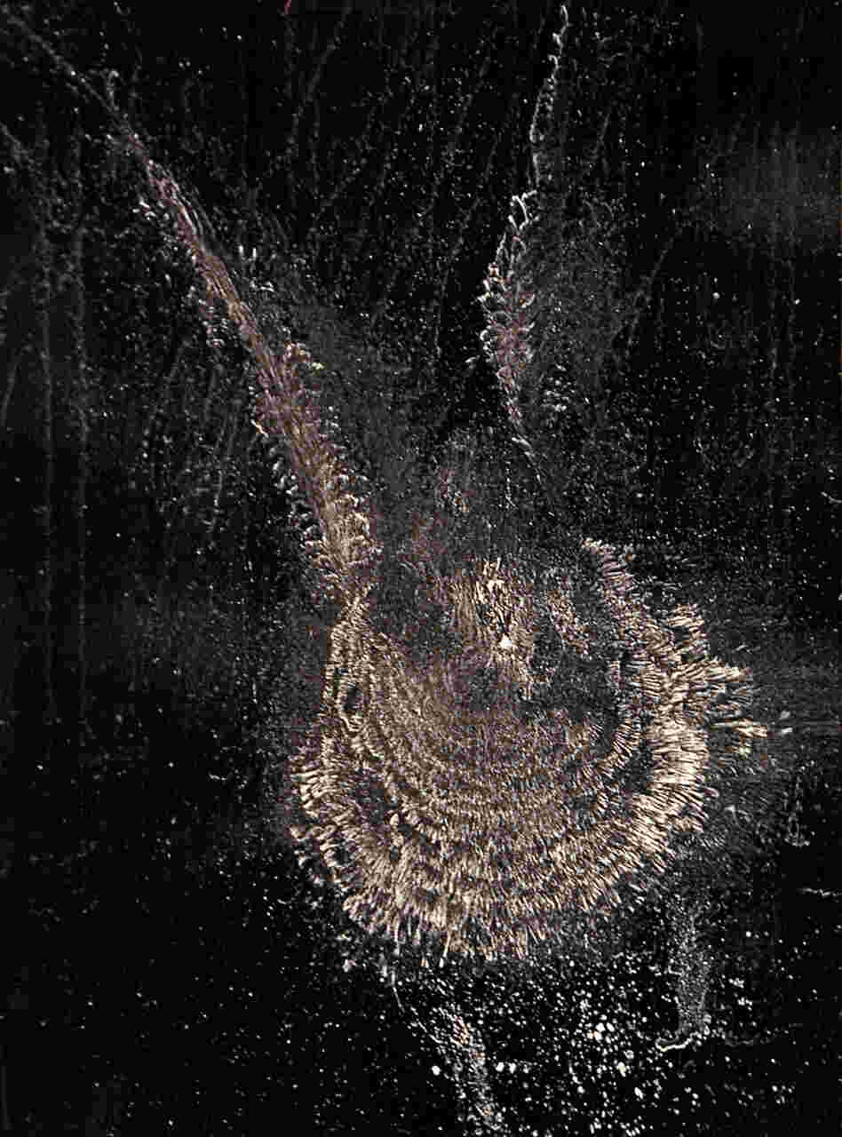 An image of a bird strike ghost print.