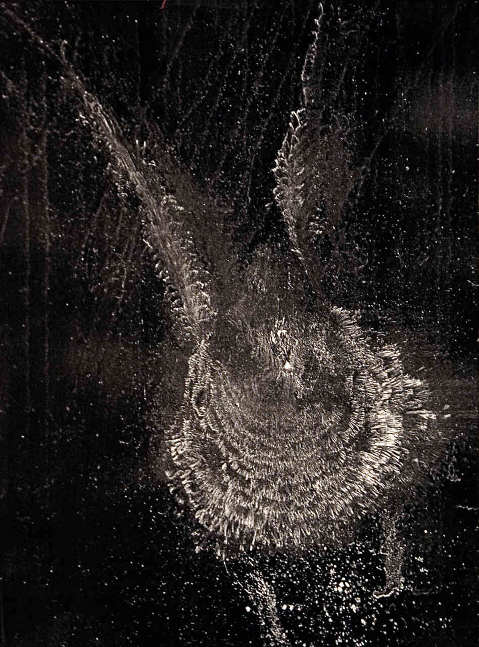 An image of a bird strike ghost print.