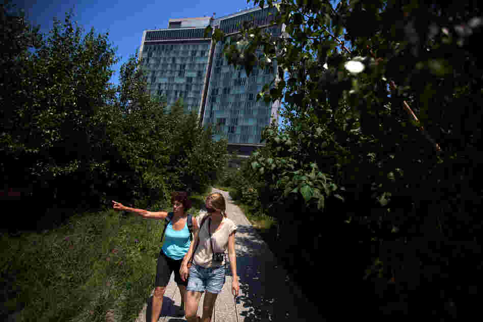 Visitors take in the views from the High Line, a Manhattan park developed on an old elevated railway line. City parks attract birds to the city, but glass-fronted buildings pose a danger.