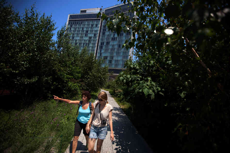 Visitors take in the views from the High Line, a Manhattan park developed on an old elevated railway line. City parks attract birds to the city, but glass-fronted buildings pose a danger.