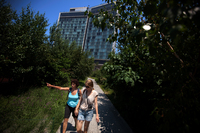 Visitors take in the views from the High Line, a Manhattan park developed on an old elevated railway line. City parks attract birds to the city, but glass-fronted buildings pose a danger.