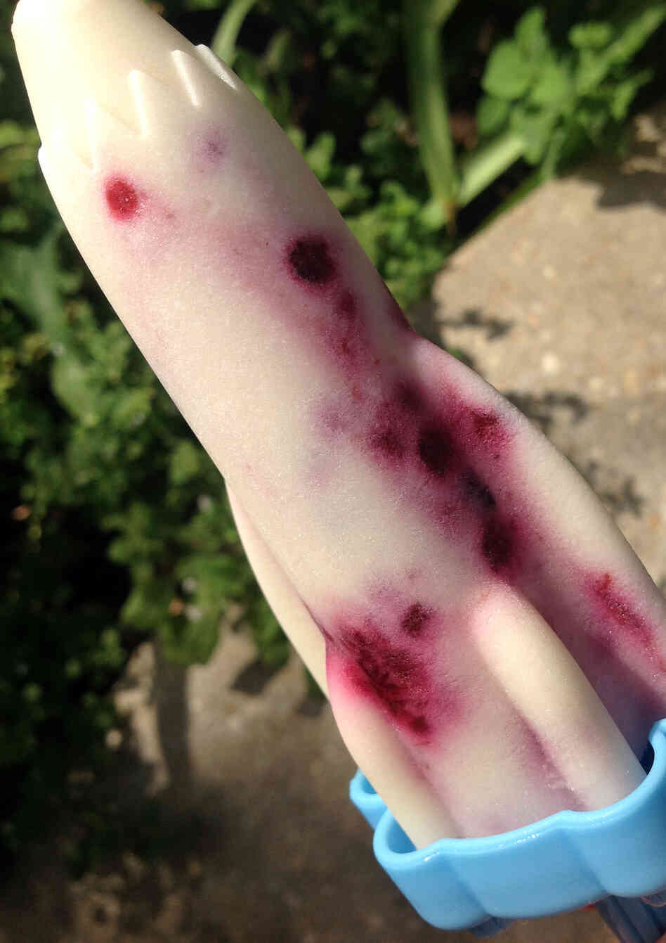 Goat Cheese, Blackberry And Honey Pops