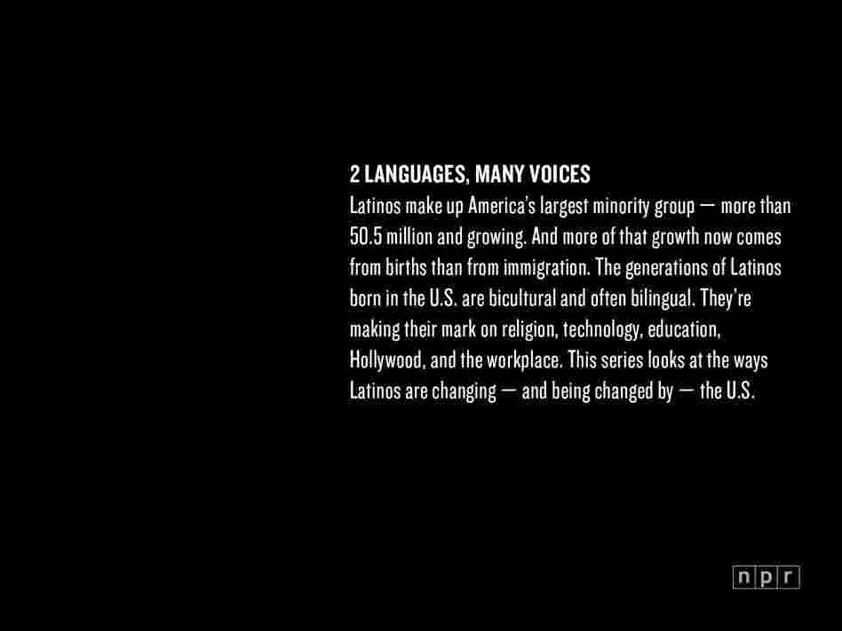 2 Languages, Many Voices