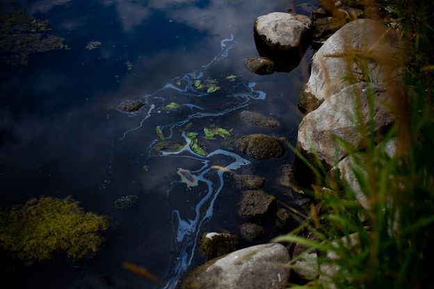 An oil sheen appears along the shore of the Kalamazoo. More than 800,000 gallons of oil entered Talmadge Creek and flowed into the Kalamazoo River, a Lake Michigan tributary. Heavy rains caused the river to overtop existing dams and carried oil 30 miles downstream.