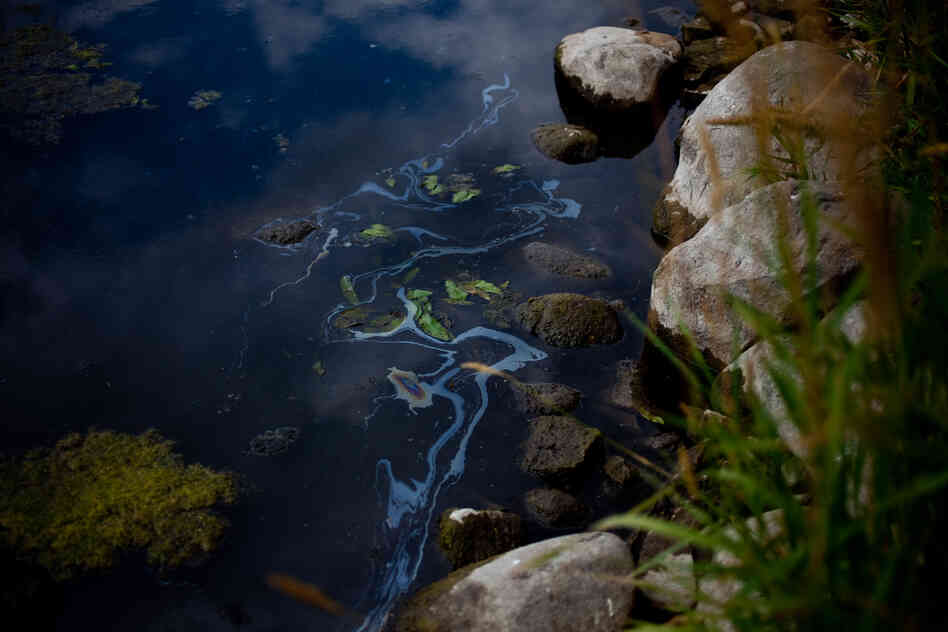 An oil sheen appears along the shore of the Kalamazoo. More than 800,000 gallons of oil entered Talmadge Creek and flowed into the Kalamazoo River, a Lake Michigan tributary. Heavy rains caused the river to overtop existing dams and carried oil 30 miles downstream.