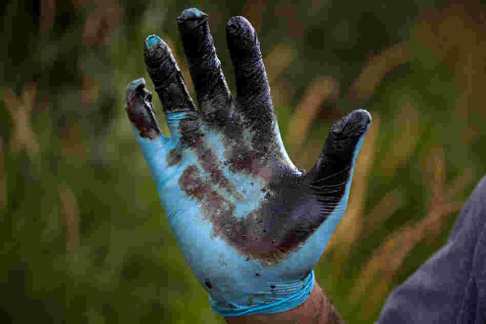 Bolenbaugh holds up a hand coated with oil sludge he has found in the Kalamazoo River two years after the spill, and two weeks after the state and EPA reopened the river to recreational use.