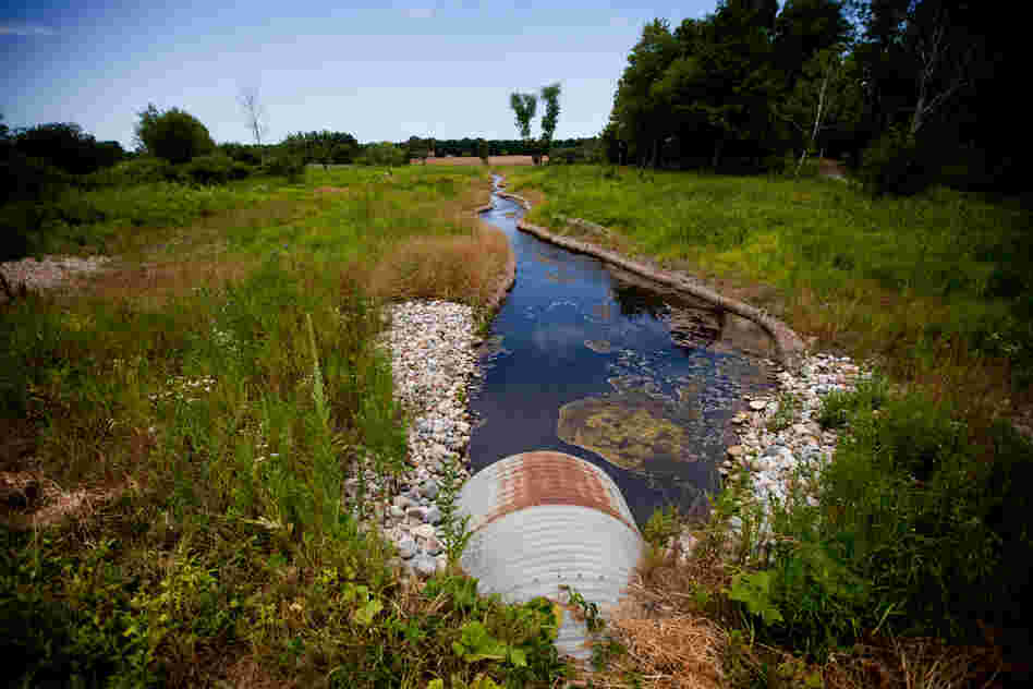 A culvert carries Talmadge Creek under a road in Marshall, Mich. After the spill, this small creek was flooded with oil, carrying it to the Kalamazoo River in the distance. Enbridge cleaned this area of oil twice. The second cleaning occurred after Bolenbaugh appeared on a local news channel falling through winter ice into a pool of oil in an area the company had declared free of oil.