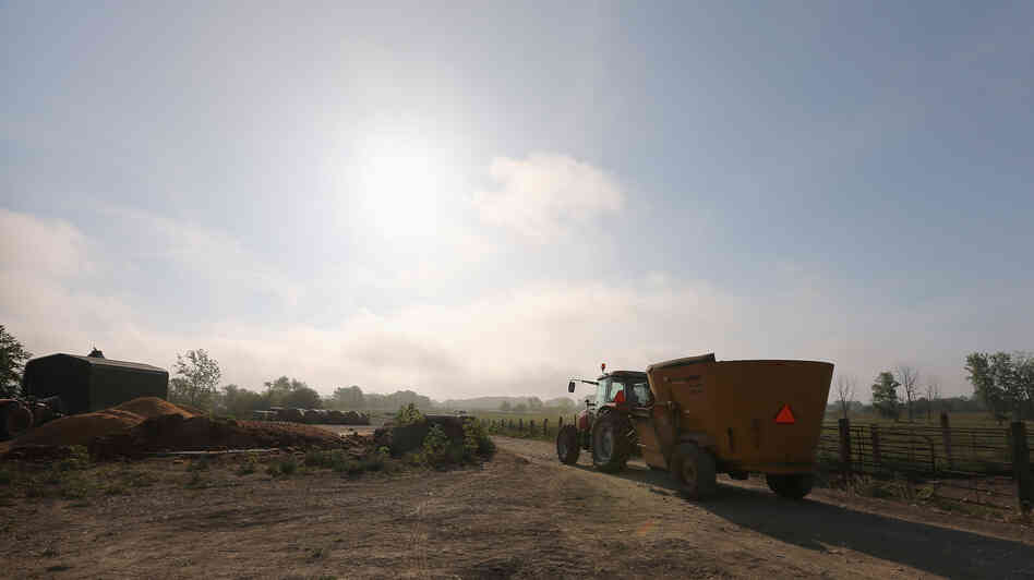 Scorched pastures are spreading across central Illinois and the rest of the Midwest. Technology and techniques developed from previous droughts like the Dust Bowl are helping to save some of today's crops, but there's no substitute for water.