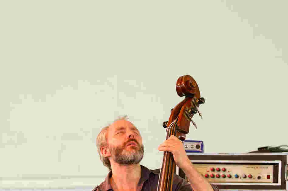 Bassist Reid Anderson of The Bad Plus performs at the 2012 Newport Jazz Festival.