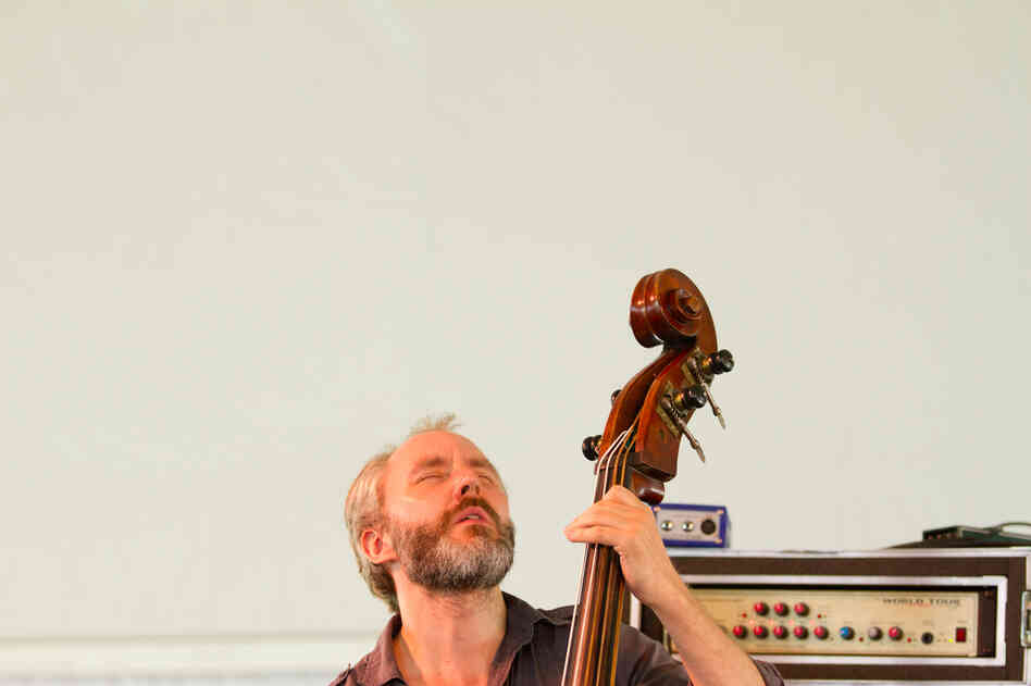 Bassist Reid Anderson of The Bad Plus performs at the 2012 Newport Jazz Festival.