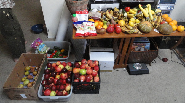 Rescued food waiting to be delivered.