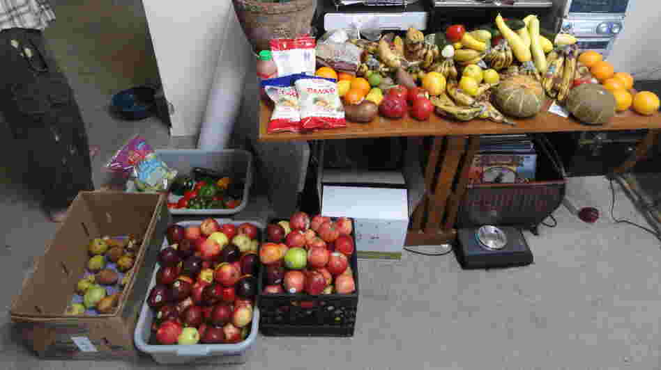 Rescued food waiting to be delivered.